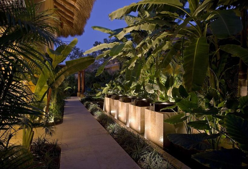 Отель Cala De Mar Resort & Spa Ixtapa