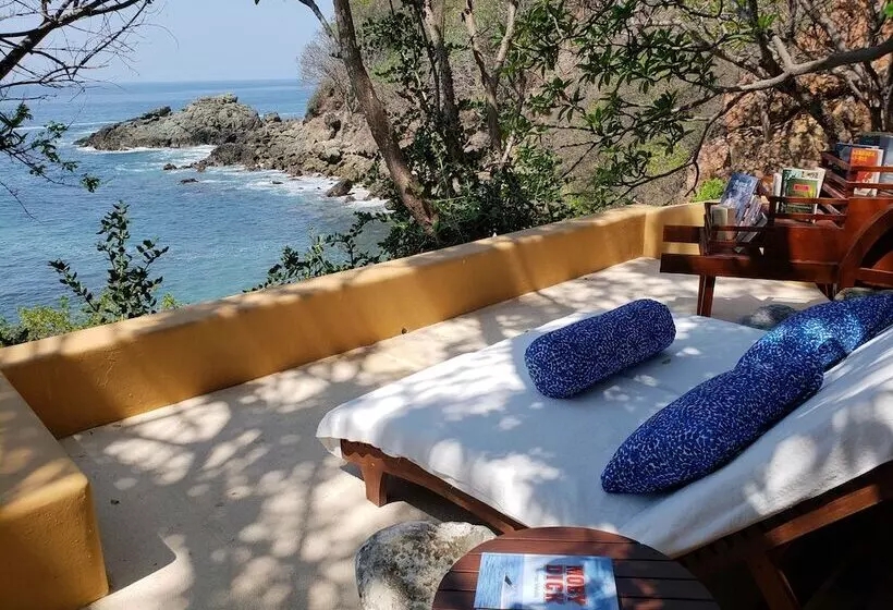 ホテル Cala De Mar Resort & Spa Ixtapa