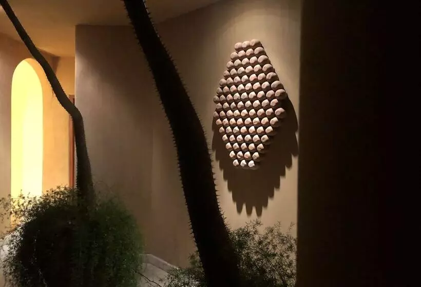 ホテル Cala De Mar Resort & Spa Ixtapa