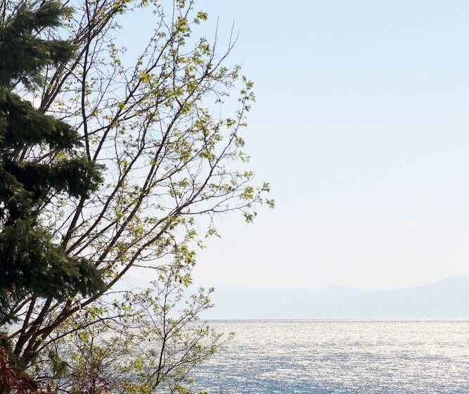 בית מלון כפרי Candia House