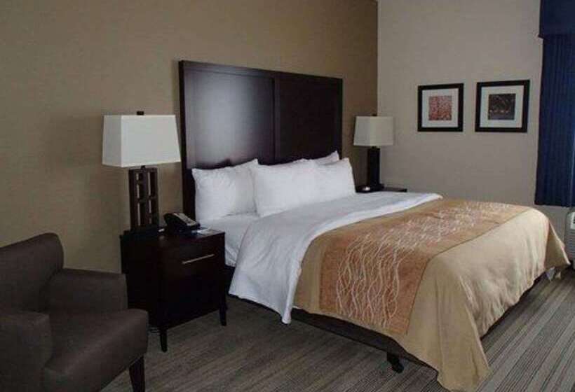 ホテル Comfort Inn