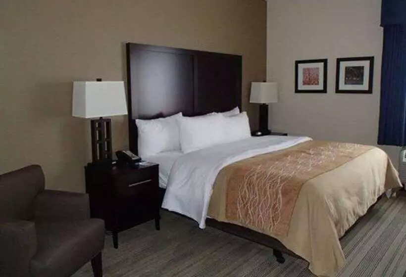 호텔 Comfort Inn