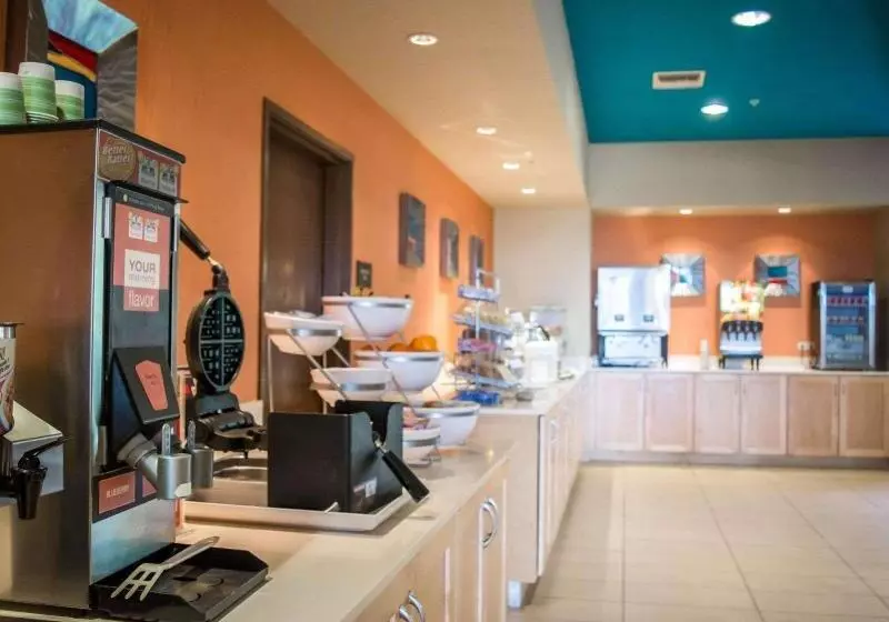 酒店 Hampton Inn By Hilton Tampa Fairgrounds Casino