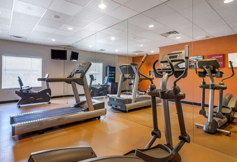 ホテル Hampton Inn By Hilton Tampa Fairgrounds Casino