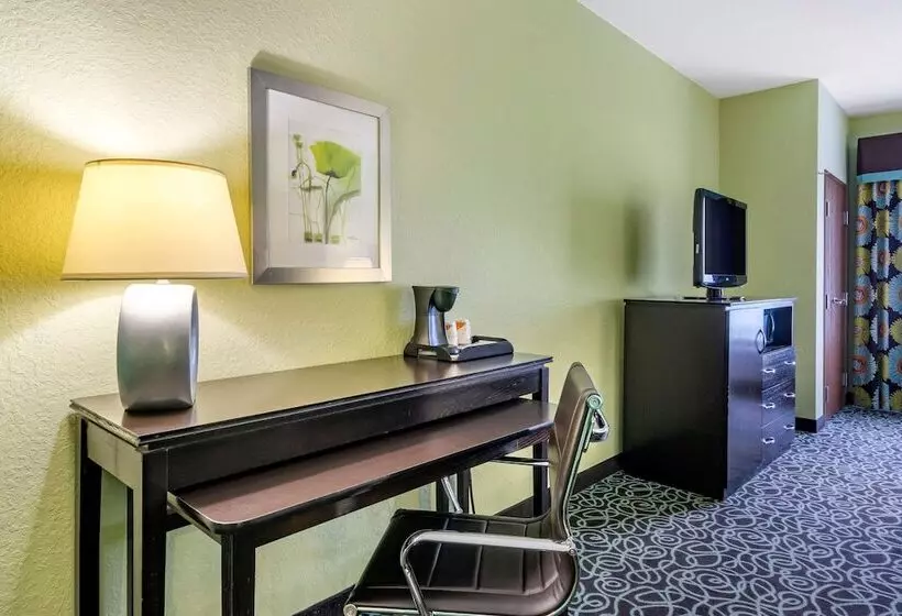 酒店 Hampton Inn By Hilton Tampa Fairgrounds Casino
