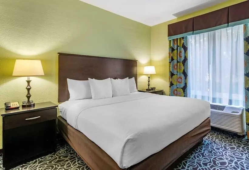 酒店 Hampton Inn By Hilton Tampa Fairgrounds Casino