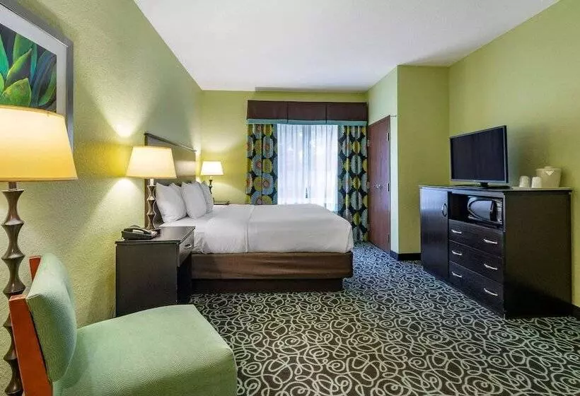 酒店 Hampton Inn By Hilton Tampa Fairgrounds Casino