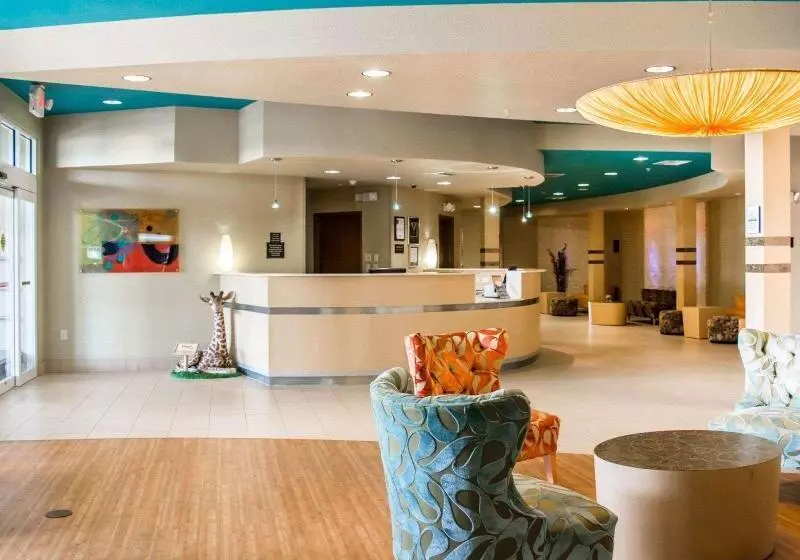 酒店 Hampton Inn By Hilton Tampa Fairgrounds Casino