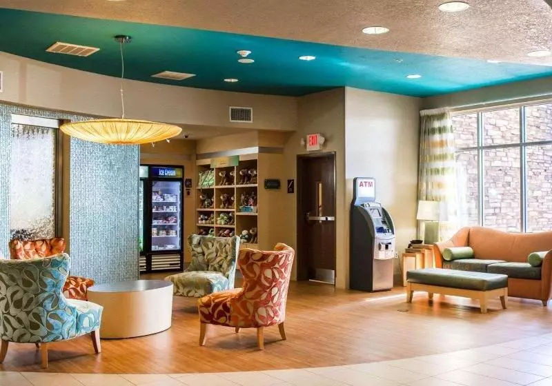 酒店 Hampton Inn By Hilton Tampa Fairgrounds Casino