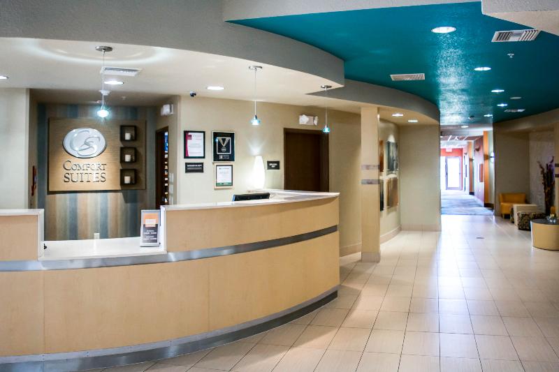 ホテル Hampton Inn By Hilton Tampa Fairgrounds Casino