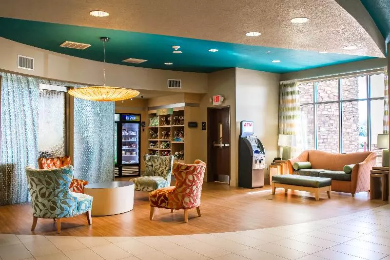 酒店 Hampton Inn By Hilton Tampa Fairgrounds Casino