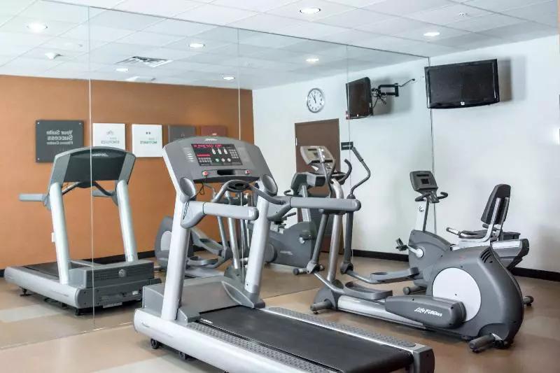 酒店 Hampton Inn By Hilton Tampa Fairgrounds Casino