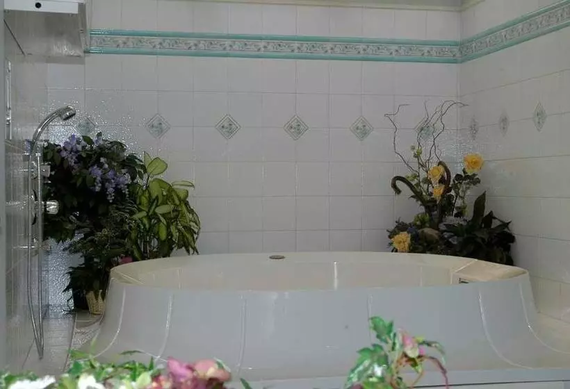 בית מלון כפרי Debra Park