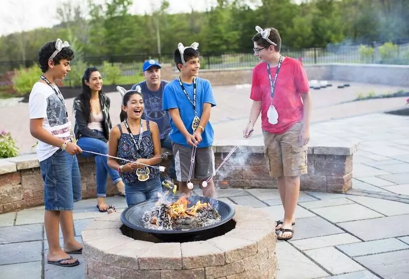 Отель Great Wolf Lodge Poconos