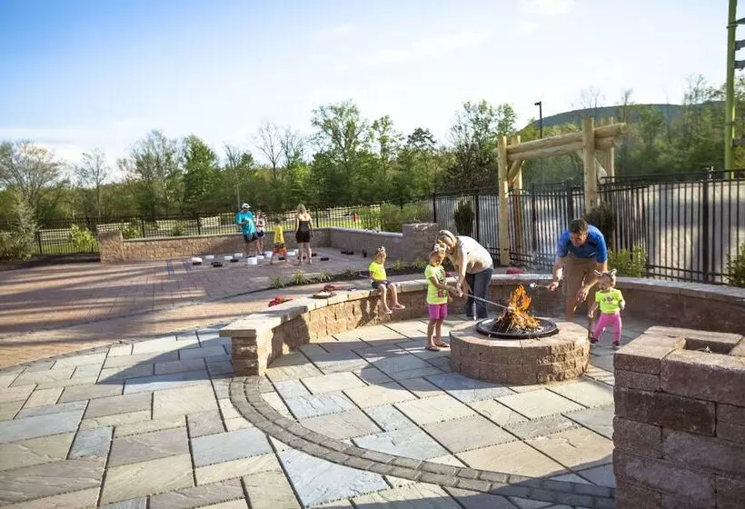 Отель Great Wolf Lodge Poconos