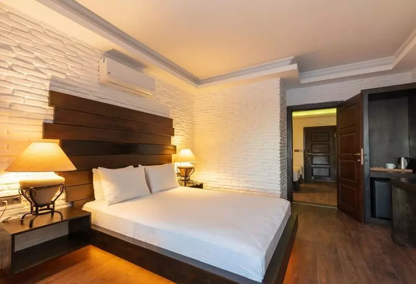 Hotel Manaspark Deluxe