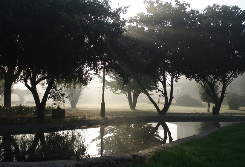 Отель Quinta Das Alfaias