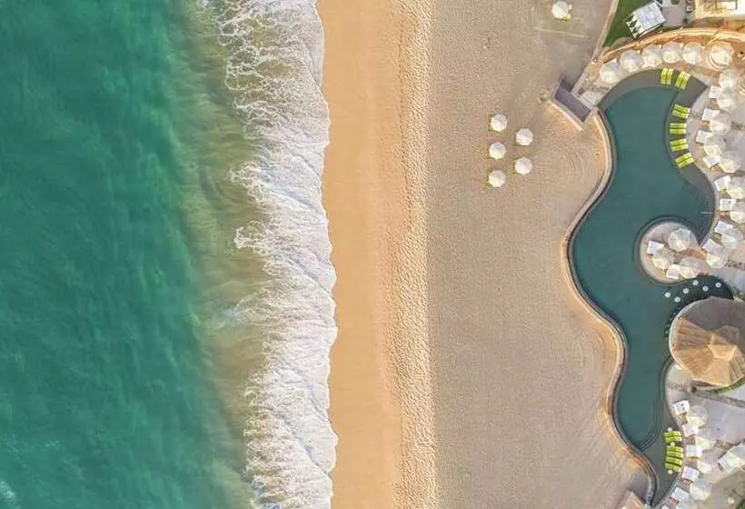 فندق Waldorf Astoria Los Cabos Pedregal