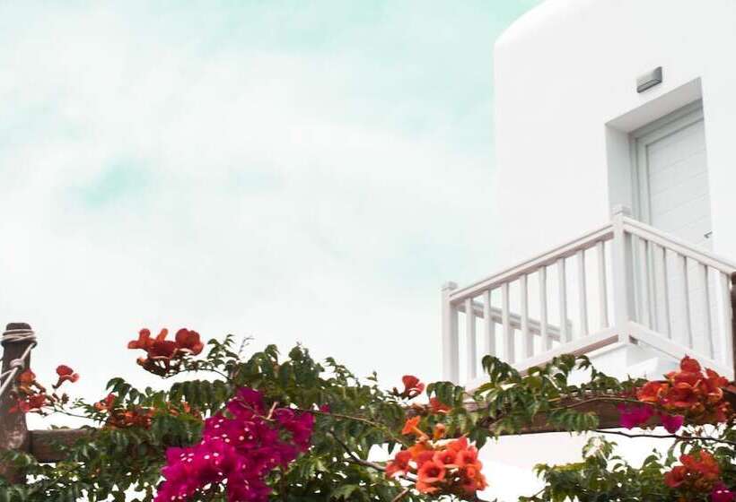 Tagoo Studios Mykonos