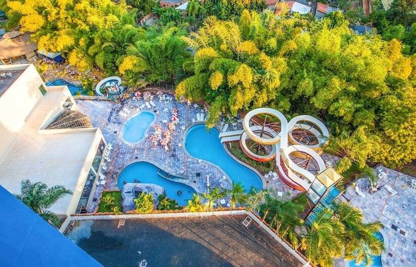 Otel Golden Dolphin Flat Top Jc