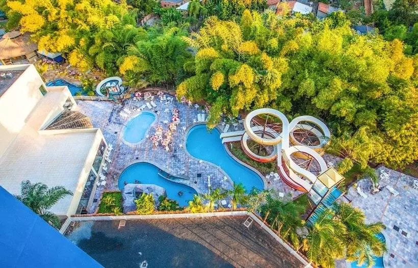 Hotel Golden Dolphin Flat Top Jc