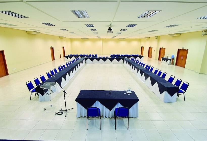 Otel Golden Dolphin Flat Top Jc