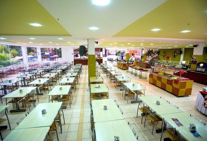 Otel Golden Dolphin Flat Top Jc