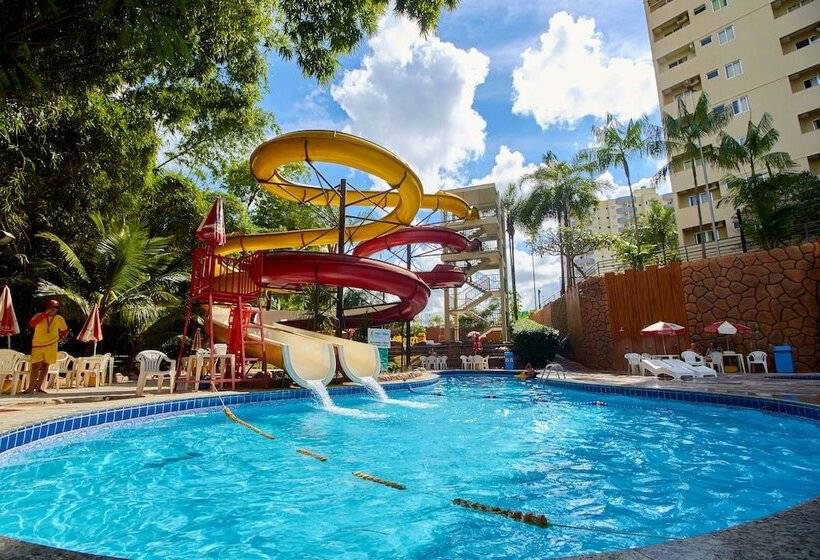 Otel Golden Dolphin Flat Top Jc