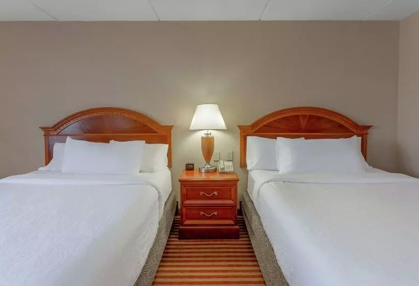 هتل Hilton Garden Inn Richmond South/southpark