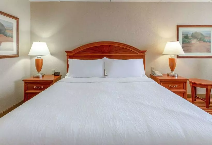 هتل Hilton Garden Inn Richmond South/southpark