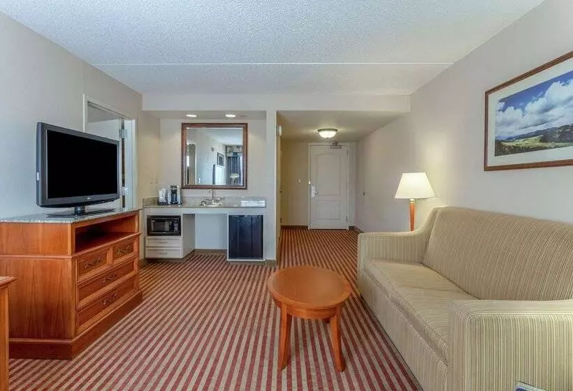 هتل Hilton Garden Inn Richmond South/southpark