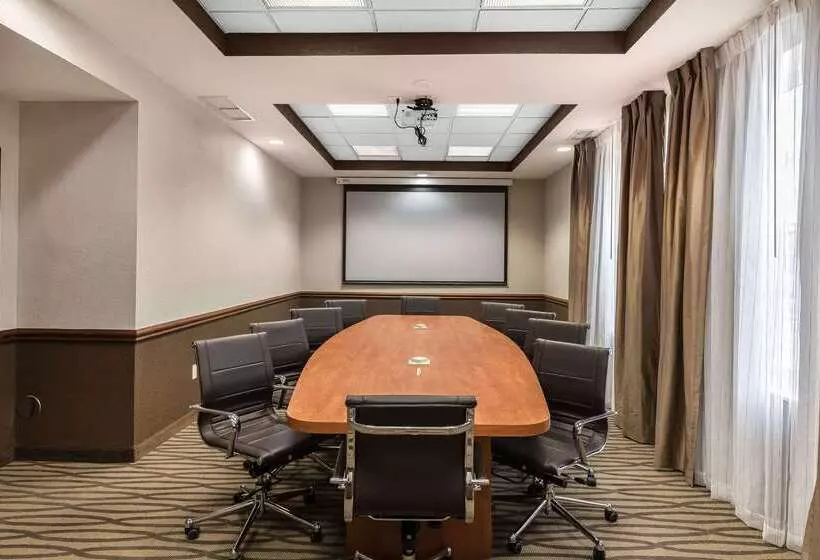 Отель Comfort Inn & Suites Allen Park  Dearborn