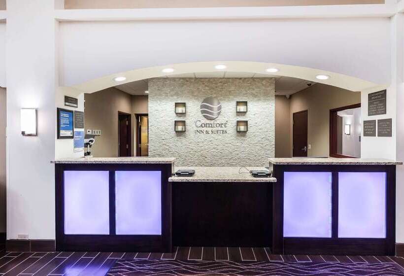 ホテル Comfort Inn & Suites Allen Park Dearborn