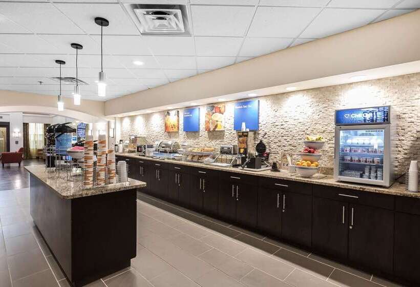 ホテル Comfort Inn & Suites Allen Park Dearborn