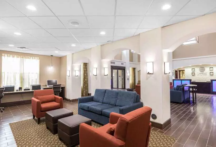 Отель Comfort Inn & Suites Allen Park  Dearborn