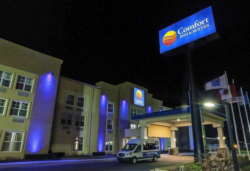 ホテル Comfort Inn & Suites Allen Park Dearborn
