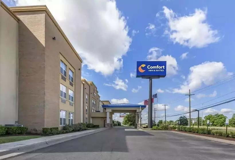 Отель Comfort Inn & Suites Allen Park  Dearborn