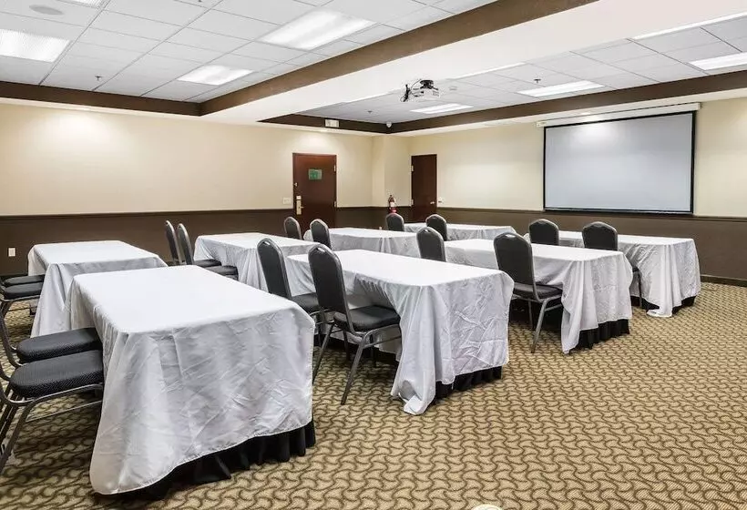 Отель Comfort Inn & Suites Allen Park  Dearborn