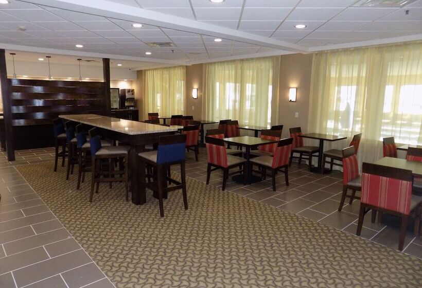 ホテル Comfort Inn & Suites Allen Park Dearborn