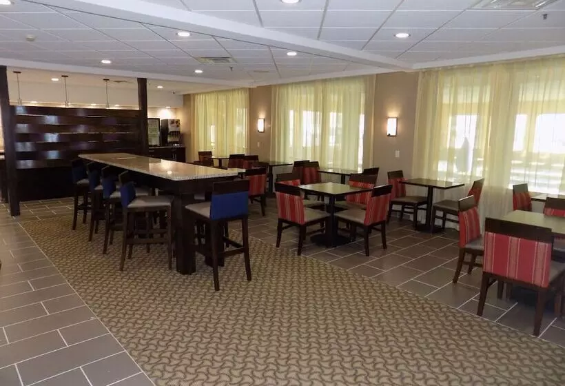 Отель Comfort Inn & Suites Allen Park  Dearborn