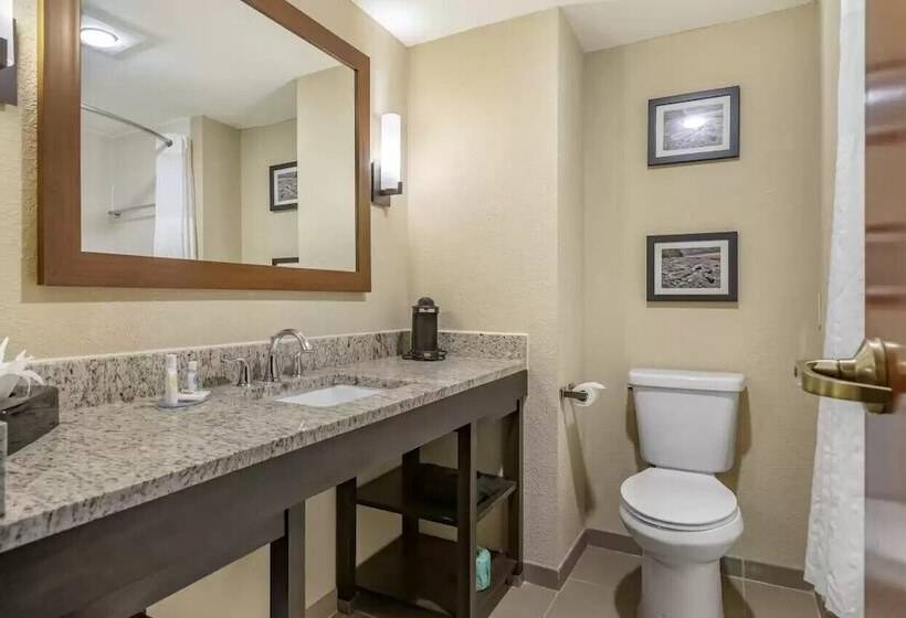 ホテル Comfort Inn & Suites Allen Park Dearborn