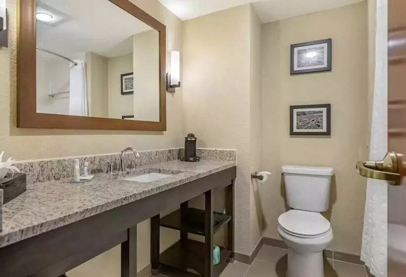 Отель Comfort Inn & Suites Allen Park  Dearborn