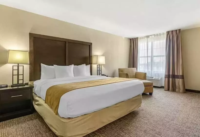 Отель Comfort Inn & Suites Allen Park  Dearborn