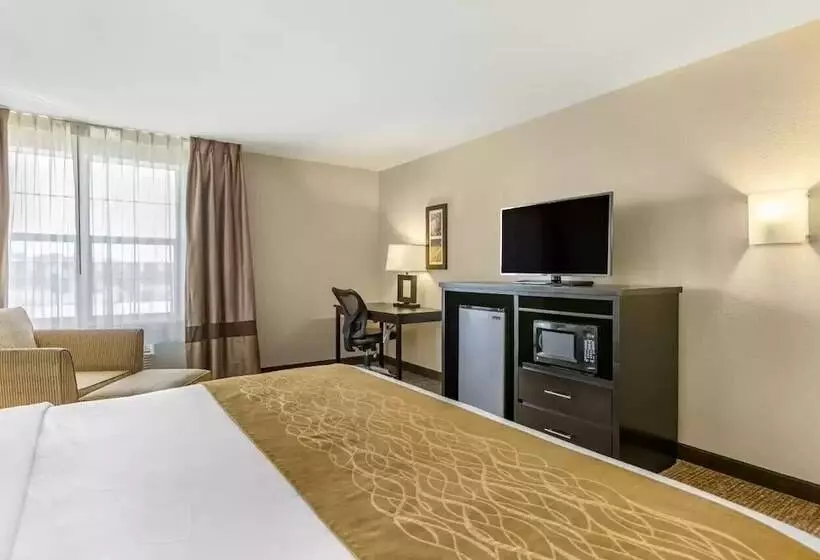 Отель Comfort Inn & Suites Allen Park  Dearborn