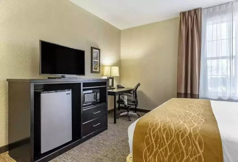 Отель Comfort Inn & Suites Allen Park  Dearborn