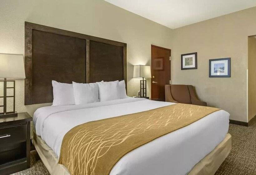 ホテル Comfort Inn & Suites Allen Park Dearborn