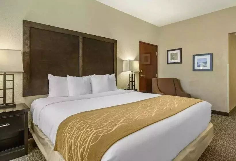 Отель Comfort Inn & Suites Allen Park  Dearborn