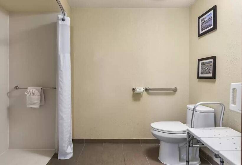 ホテル Comfort Inn & Suites Allen Park Dearborn