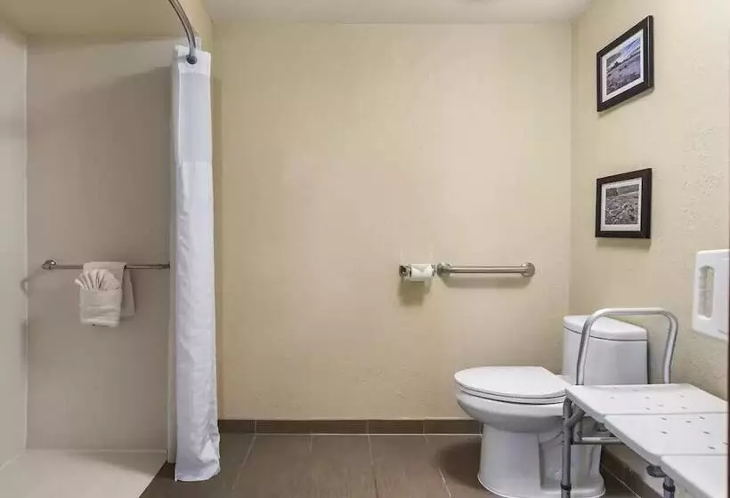 Отель Comfort Inn & Suites Allen Park  Dearborn
