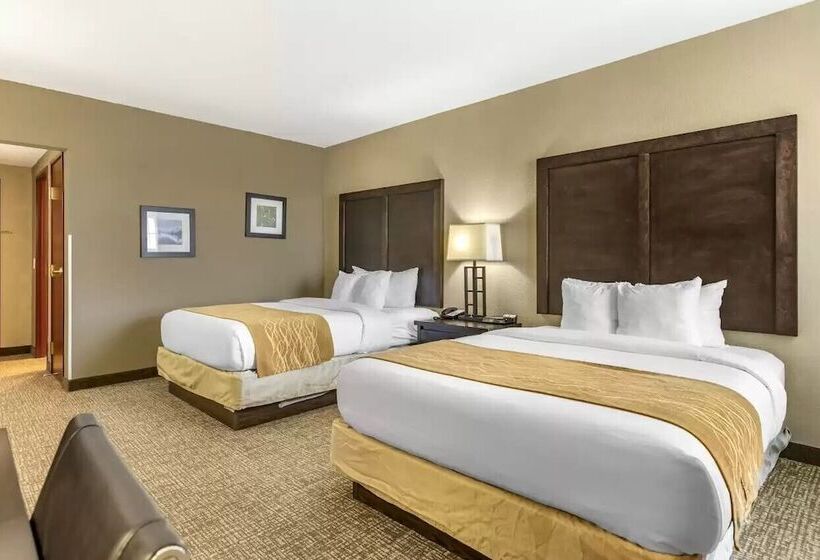 ホテル Comfort Inn & Suites Allen Park Dearborn